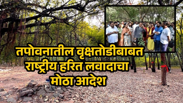 nashik tapovan tree cutting stay order ngt sadhu gram project 15 january update marathi nashik tapovan tree cutting stay order ngt sadhu gram project 15 january update marathi