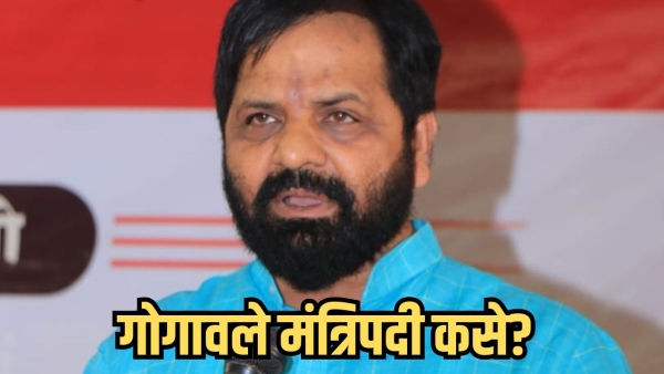 high court questions rule of law bharat gogawale case high court questions rule of law bharat gogawale case