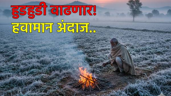 Maharashtra cold wave update