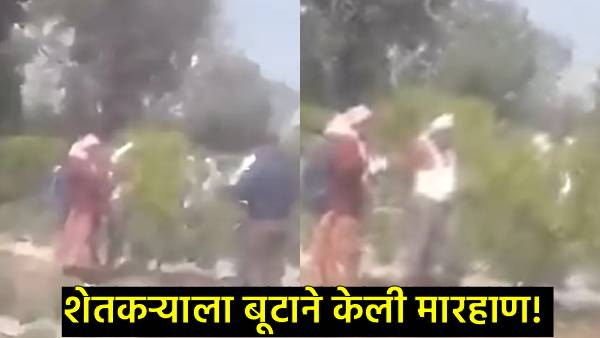 Washim Agriculture Officer Assault Washim Agriculture Officer Assault