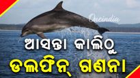 ଆସନ୍ତାକାଲିଠାରୁ ୩ ଦିନ ପର୍ଯ୍ୟନ୍ତ ଚିଲିକାରେ ହେବ ଡଲଫିନ୍ ଗଣନା