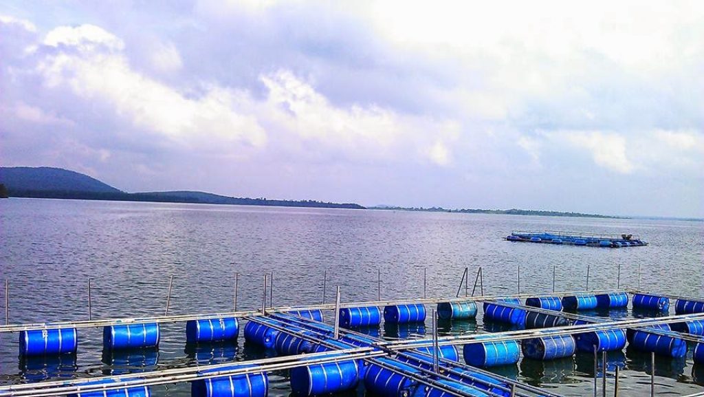 ଝାଡ଼ଖଣ୍ଡ ମୁଖ୍ୟମନ୍ତ୍ରୀ