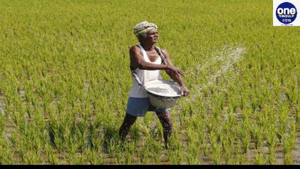 Farmer