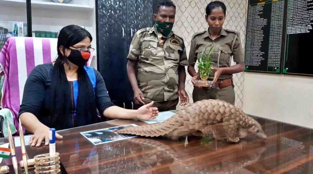 Odisha Forest Officer Sasmita Lanka