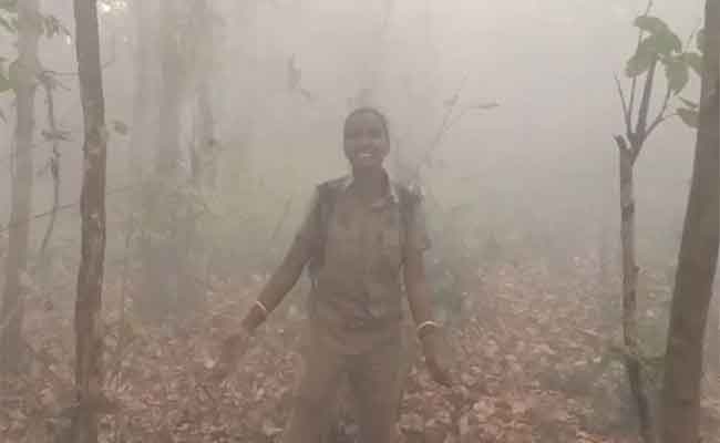  Simlipal Forest Fire