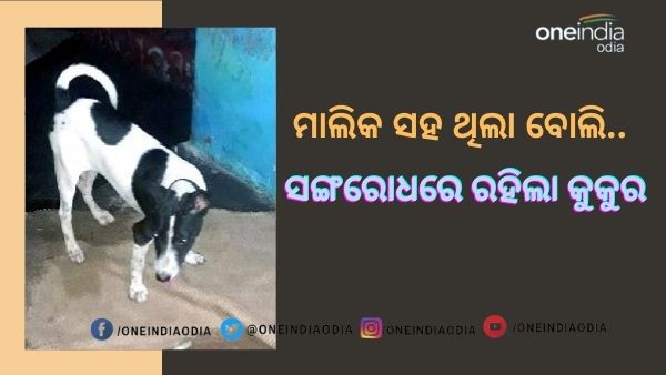 କରୋନା କରୋନା