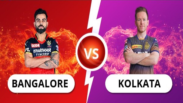 IPL Eliminator IPL Eliminator
