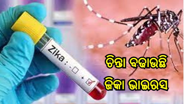 zika virus zika virus