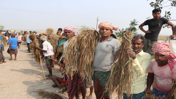 Cyclone Jawad review