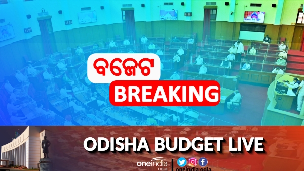 ସିଏଜି ରିପୋର୍ଟ