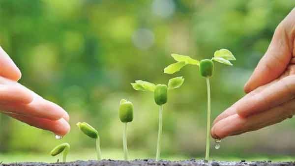 Environment day Environment day