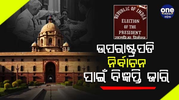 vice president election vice president election