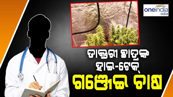 Cannabis Cultivation