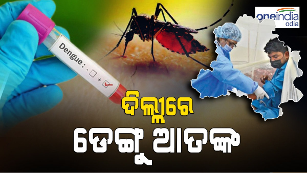 Delhi Dengue