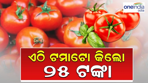 Tomato Price