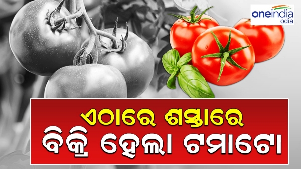 Tomato Price Dresses in These Places, See the Details