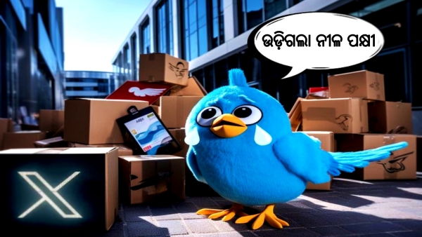 Twitter Logo Changed