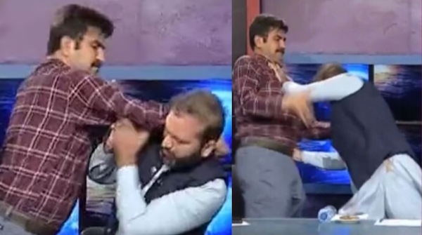 pal_liveshow_fight