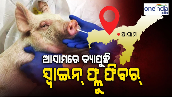 Swine flu virus