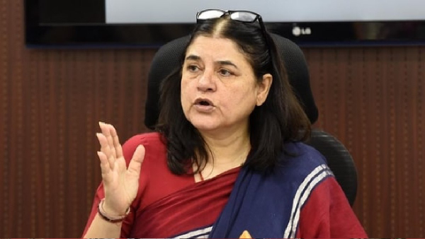 maneka gandhi