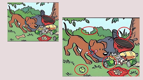 puzzle