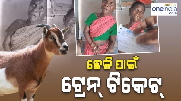 viral_goat_train_ticket viral_goat_train_ticket