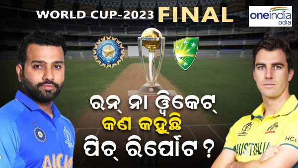 world cup final pitch