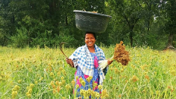 Odisha Millets Mission