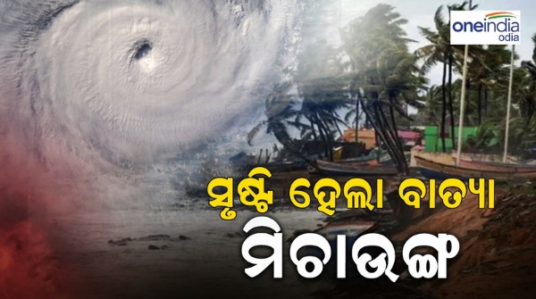 Cyclone Michaung