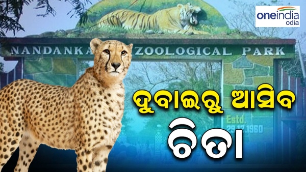 Nandankanan Nandankanan