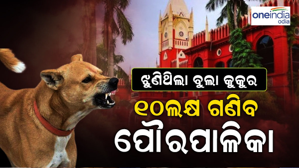 High Court