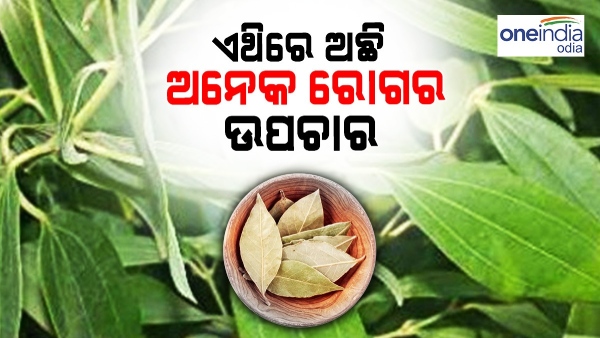 bay leaf 