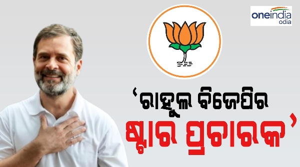 rahul star campaigner for bjp