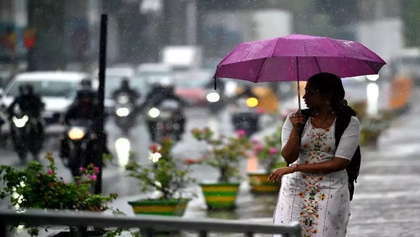 rain