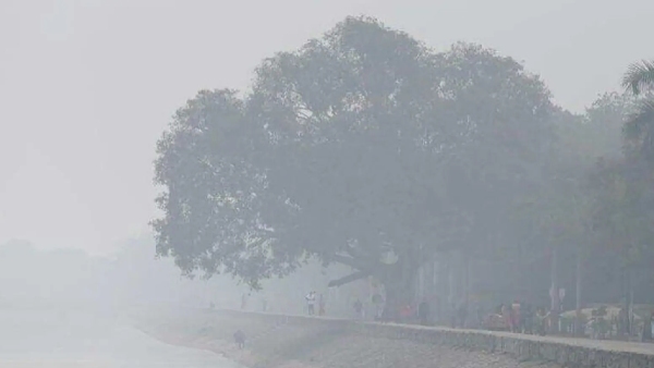 weather weather