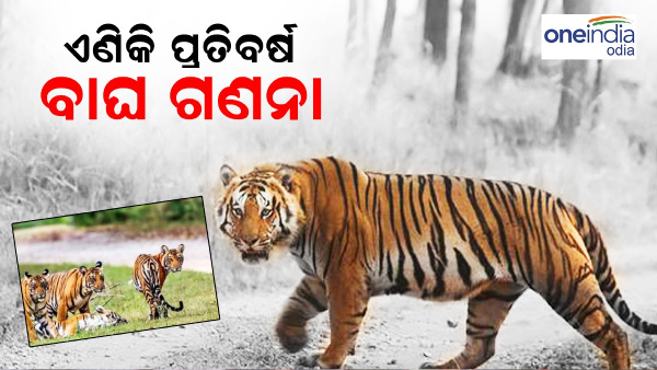 Satkosia Tiger Reserve