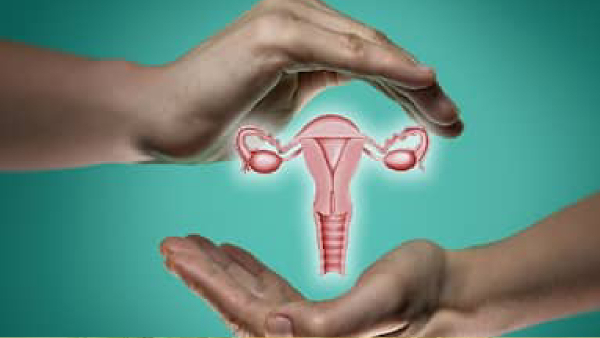 Cervical Cancer Cervical Cancer