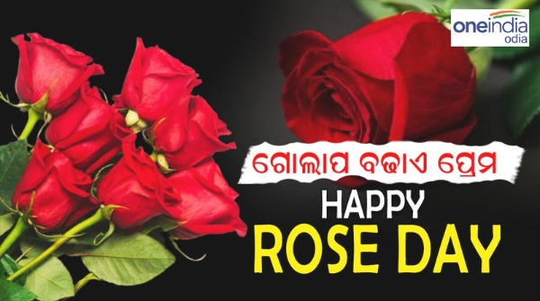  Rose Day 