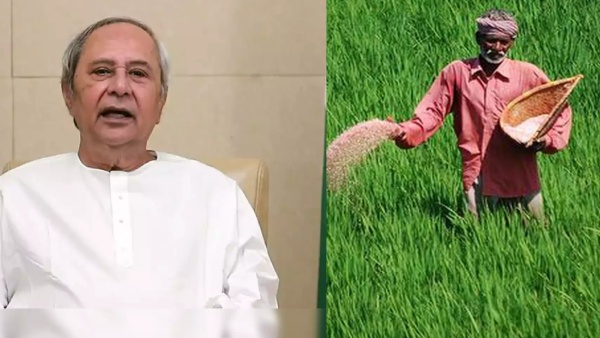 kalia yojana kalia yojana