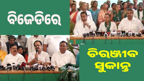 bjd
