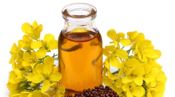 Mustard Oil