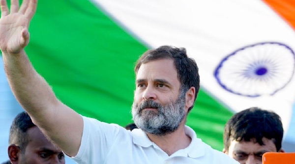 rahul gandi