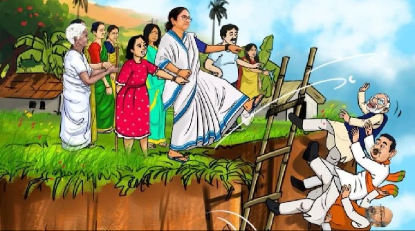 tmc cartoon