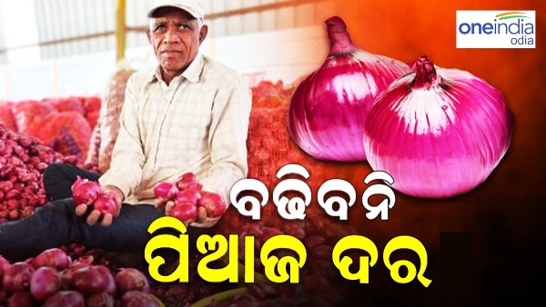 Onion Prices Onion Prices