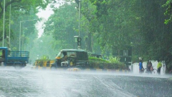Rain
