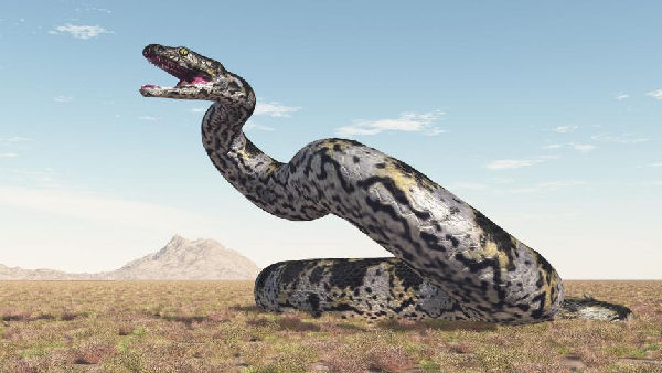 Vasuki Indicus Vasuki Indicus