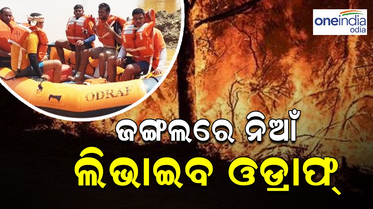 ଜଙ୍ଗଲ ନିଆଁକୁ ଲିଭାଇବ ପାଇଁ ଓଡ୍ରାଫର ସହାୟତା ନେଲା ବନବିଭାଗ | The Forest ...