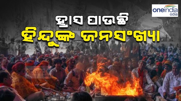 Hindu s Population