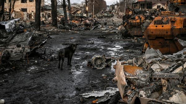 Russia-Ukraine war Russia-Ukraine war
