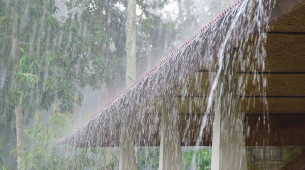 odisha Weather News